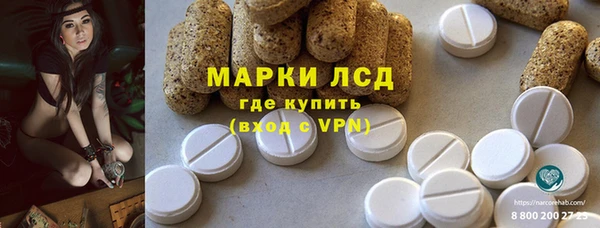 прущие грибы Белоозёрский