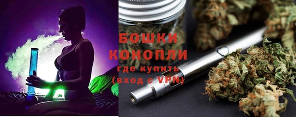 прущие грибы Белоозёрский