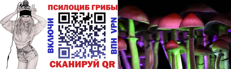Галлюциногенные грибы MAGIC MUSHROOMS  цены наркотик  Воскресенск 