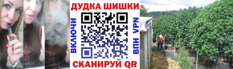 Конопля Bruce Banner  kraken как зайти  Воскресенск 